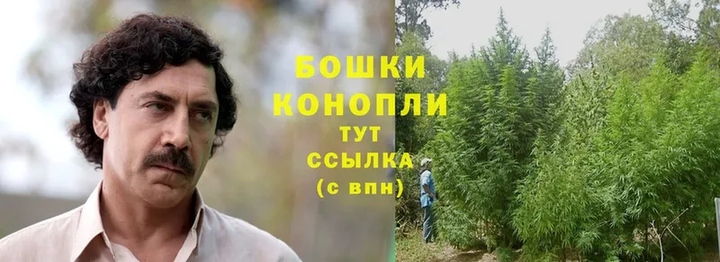 Конопля Ganja  mega tor  Белозерск 